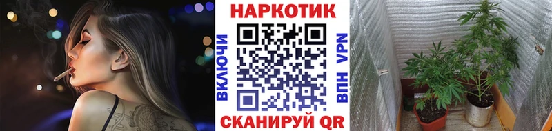 Какие есть наркотики Александровск-Сахалинский блэк спрут зеркало Марихуана Мефедрон ГАШИШ A PVP MDMA