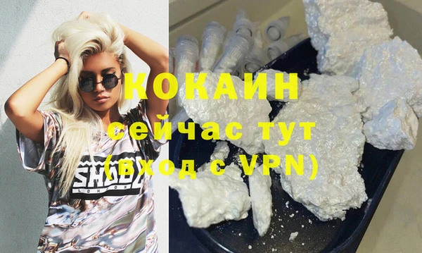 бошки Няндома