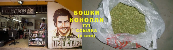 молекула духа Нягань