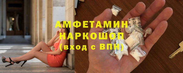 бошки Няндома