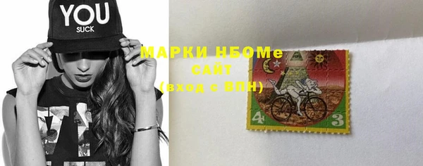 бошки Няндома