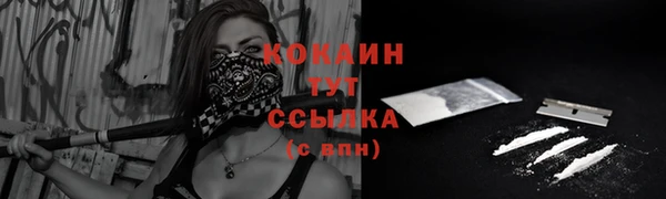 бошки Няндома