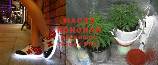 молекула духа Нягань